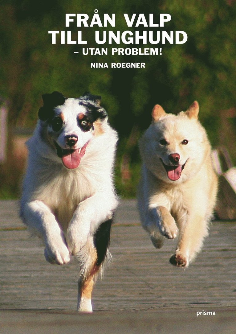 Från valp till unghund : utan problem!
