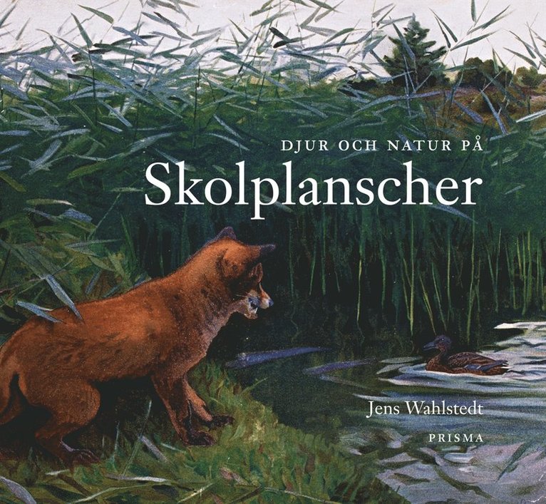 Jens Wahlstedt - Djur och natur på skolplanscher, Inbunden