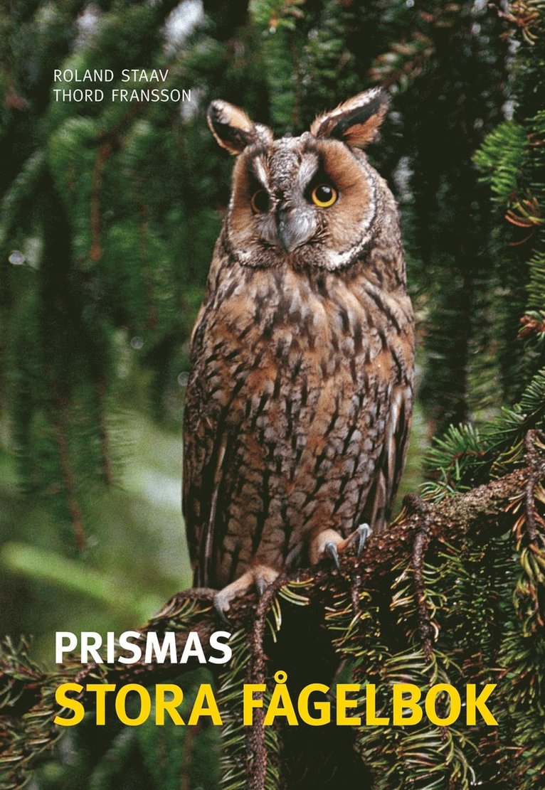 Prismas stora fågelbok