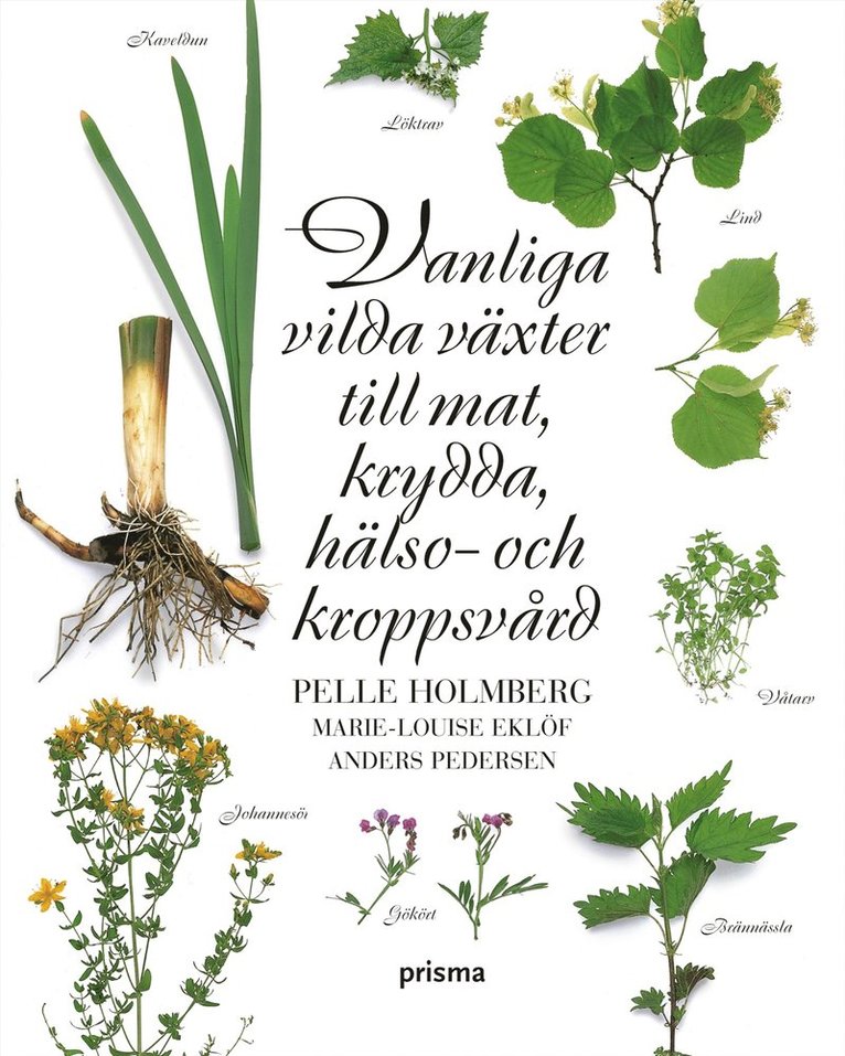 Vanliga vilda växter till mat, krydda, hälso- och kroppsvård