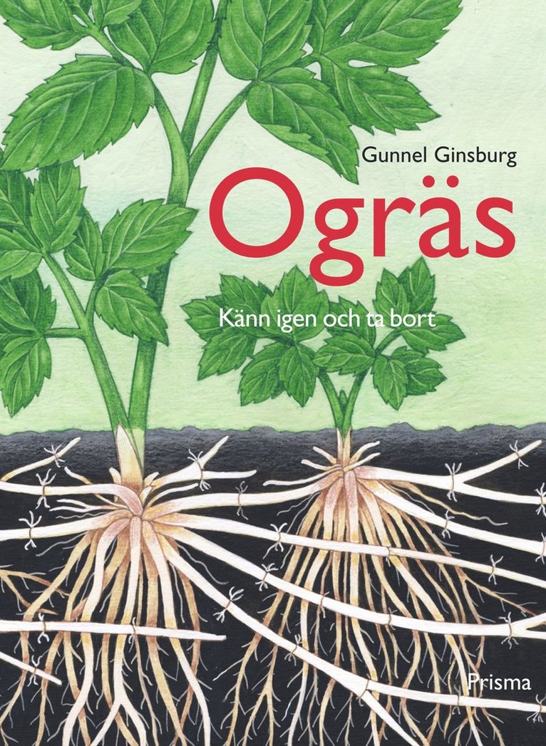 Ogräs - känn igen och ta bort