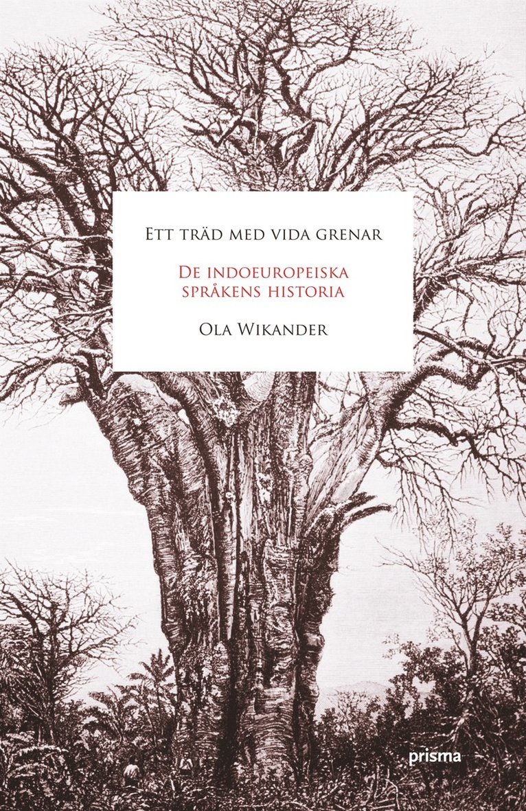 Ola Wikander - Ett träd med vida grenar : de indoeuropeiska språkens historia, Inbunden