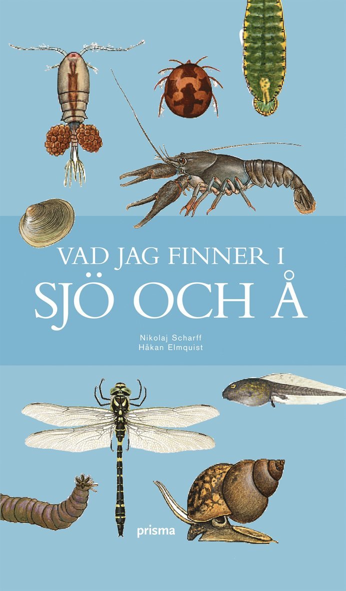 Vad jag finner i sjö och å