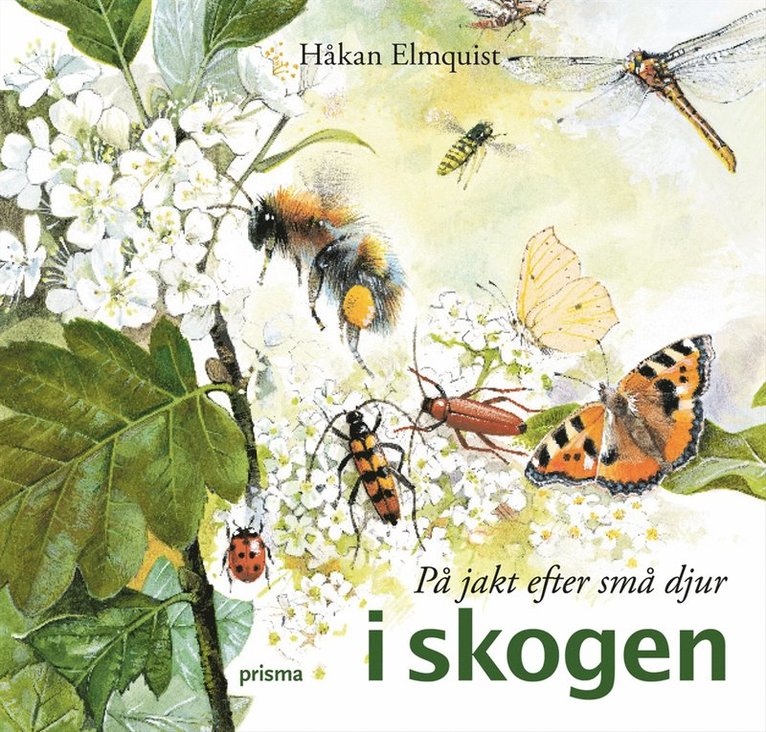 På jakt efter små djur i skogen