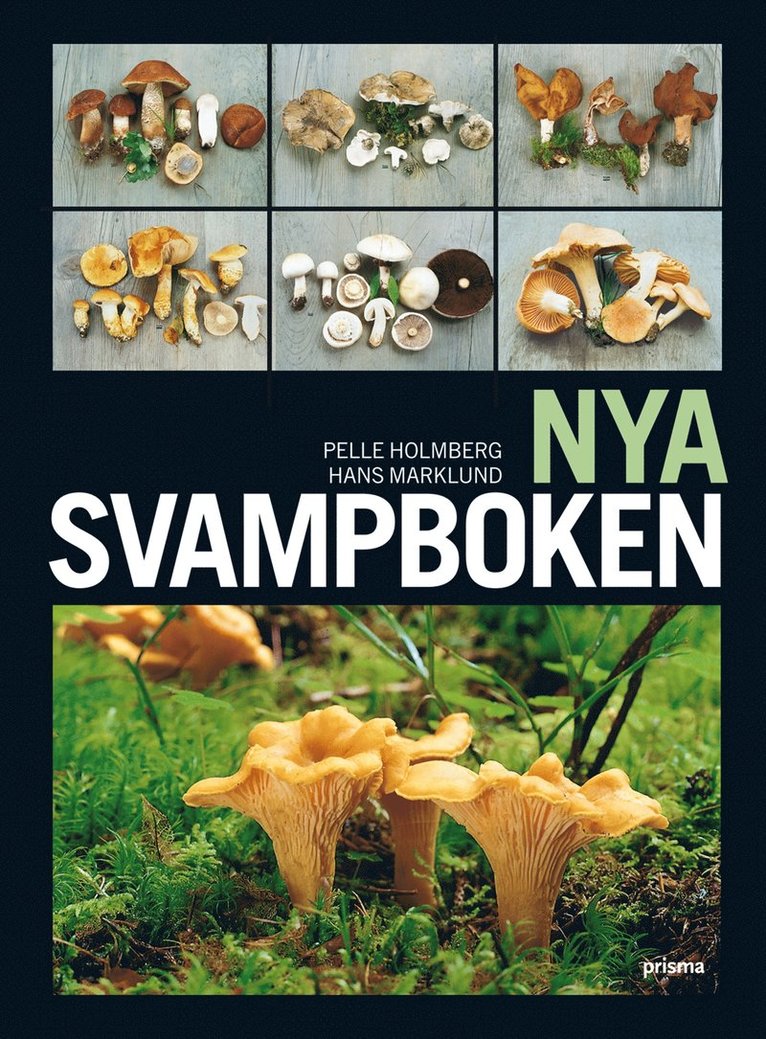 Pelle Holmberg, Hans Marklund - Nya svampboken, Inbunden