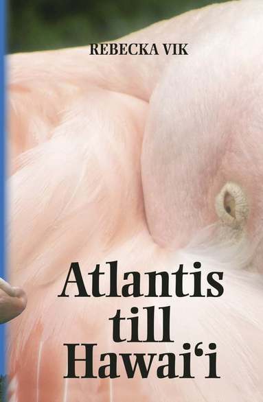 bokomslag Atlantis till Hawaii