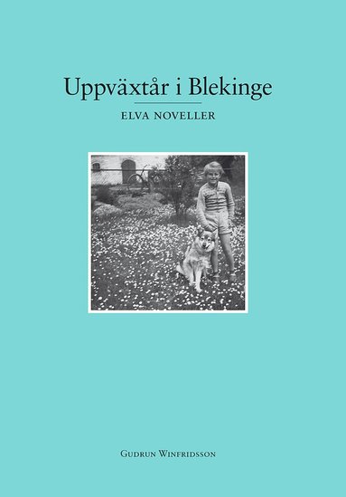 bokomslag Uppväxtår i Blekinge : elva noveller