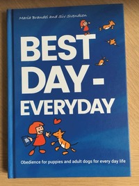 bokomslag Best Day - Everyday