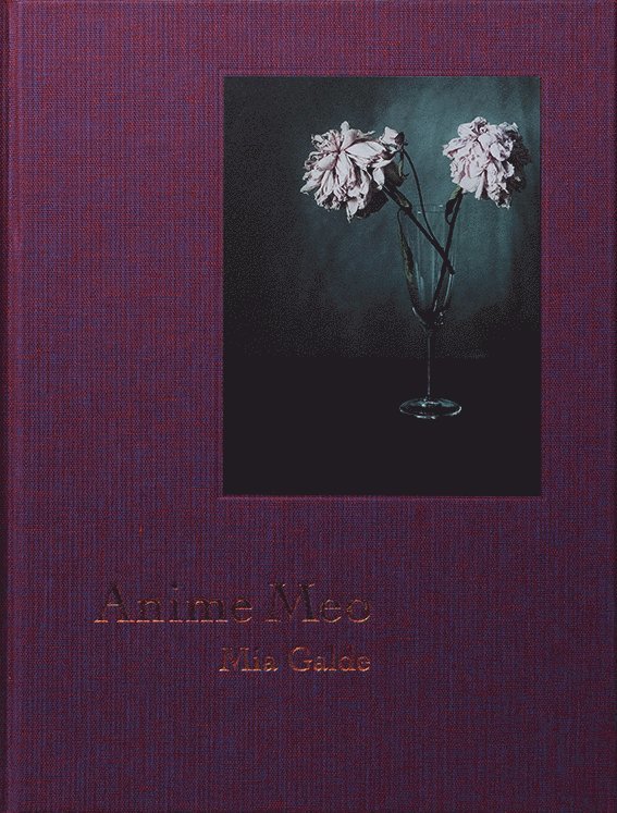 Mia Galde - Anime Meo, Inbunden