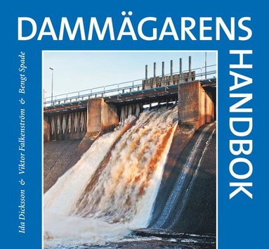 bokomslag Dammägarens handbok