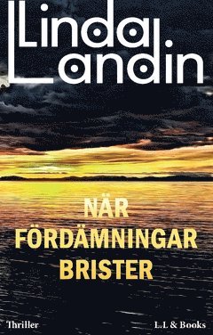 bokomslag När fördämningar brister