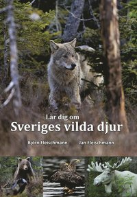 bokomslag Lär dig om Sveriges vilda djur