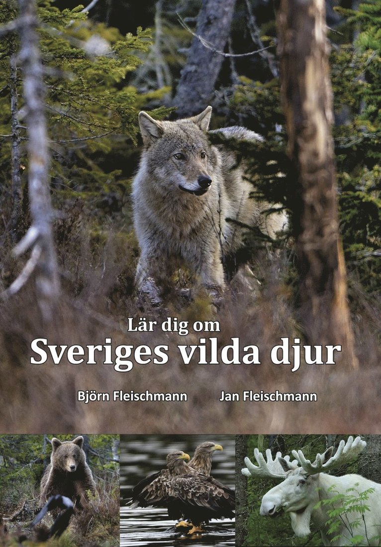 Lär dig om Sveriges vilda djur 1