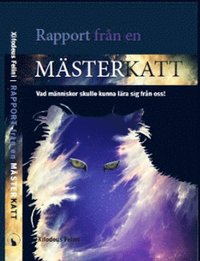 bokomslag Rapport från en mästerkatt : vad människor skulle kunna lära sig från oss!