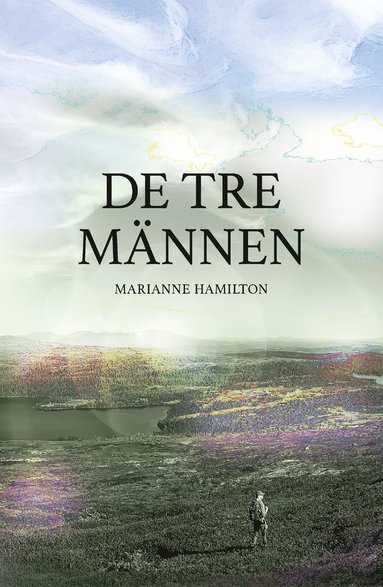 bokomslag De tre männen