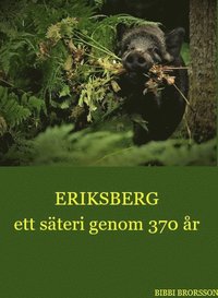 bokomslag Eriksberg ett säteri genom 370 år