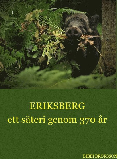 Eriksberg ett säteri genom 370 år 1
