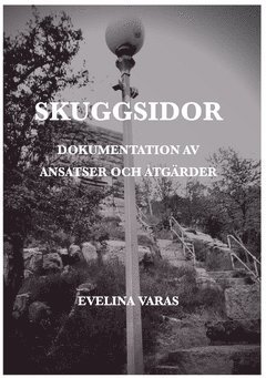 bokomslag Skuggsidor : dokumentation av ansatser och åtgärder