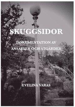 Evelina Varas - Skuggsidor : dokumentation av ansatser och åtgärder, Häftad