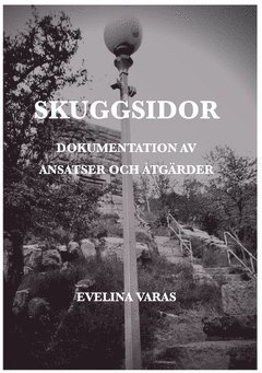 Skuggsidor : dokumentation av ansatser och åtgärder 1