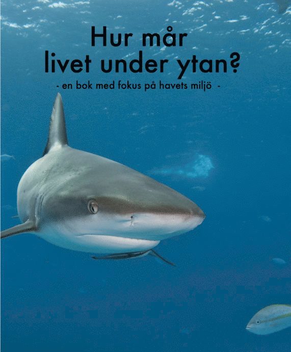 Hur mår livet under ytan? : en bok med fokus på havets miljö 1