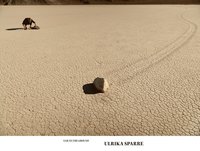 bokomslag Ulrika Sparre : Ear to the Ground