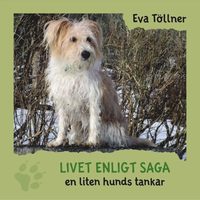 bokomslag Livet enligt Saga : en liten hunds tankar