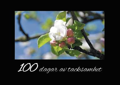 bokomslag 100 dagar av tacksamhet