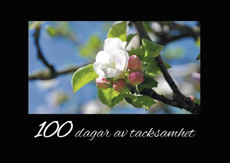 100 dagar av tacksamhet 1