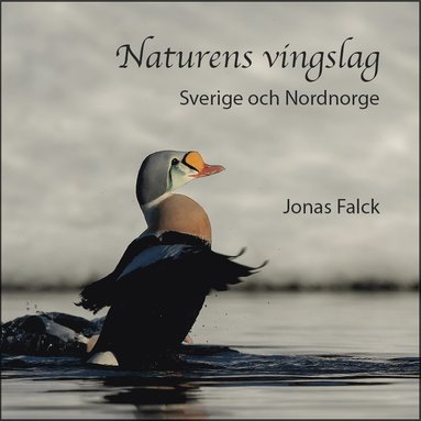 bokomslag Naturens vingslag - Sverige och Nordnorge