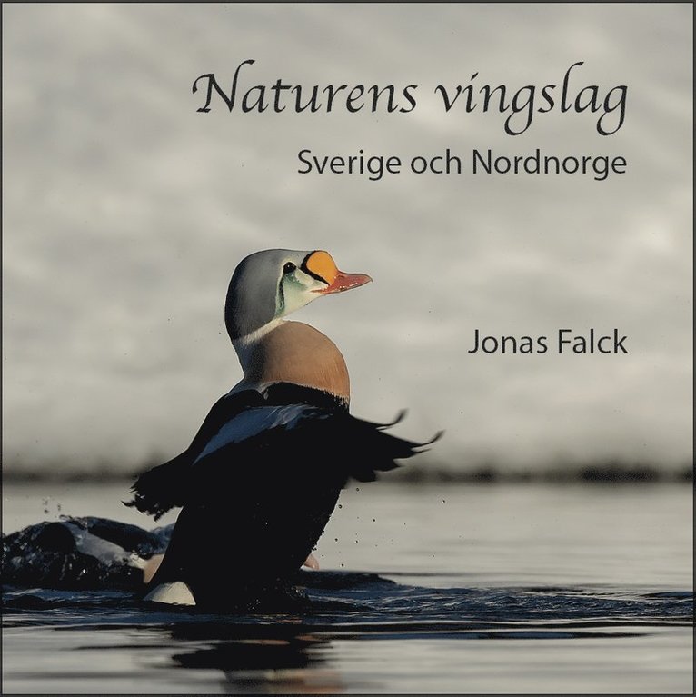 Jonas Falck - Naturens vingslag – Sverige och Nordnorge, Inbunden