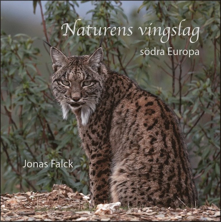 Jonas Falck - Naturens vingslag : södra Europa, Inbunden