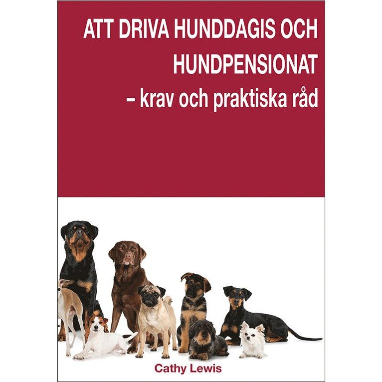 Att driva hunddagis och hundpensionat – krav och praktiska råd