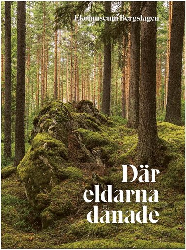 Bisse Falk - Där eldarna dånade, Inbunden
