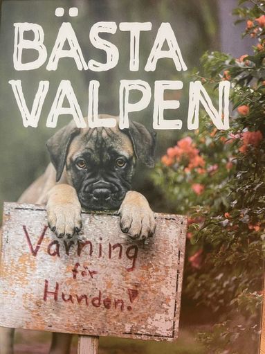 Maria Brandel, Siv Svendsen - Bästa valpen - Så startar du med valp för ett härligt hundliv!, Inbunden
