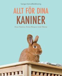 bokomslag Allt för dina kaniner