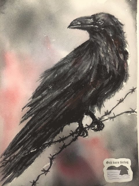 Jörgen Krüsell - Död Magi Förödelse, Storpocket