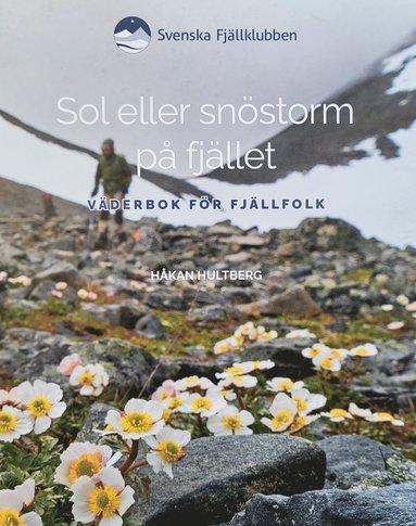 bokomslag Sol eller snöstorm på fjället : väderbok för fjällfolk