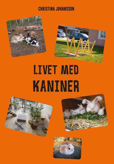 bokomslag Livet med kaniner