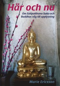 bokomslag Här och nu : om Satipatthana Sutta och Buddhas väg till upplysning