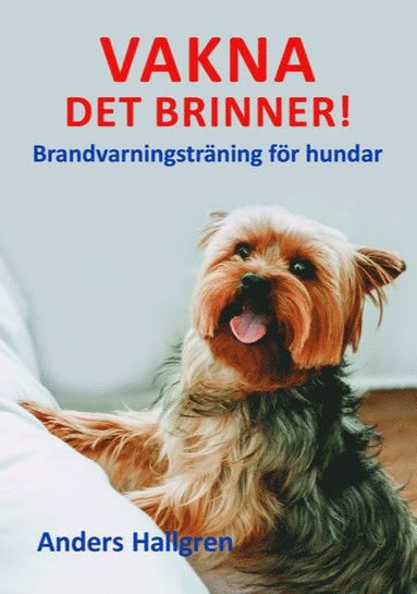 bokomslag Vakna det brinner! : brandvarningsträning för hundar