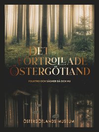 bokomslag Det förtrollade Östergötland : folktro och sägner då och nu