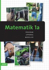 bokomslag Matematik 1a GRÖN: för omsorgsinriktade yrkesprogram