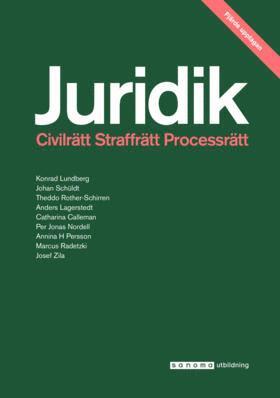 Konrad Lundberg, Johan Schüldt, Theddo Rother-Schirren, Anders Lagerstedt, Catharina Calleman, Per Jonas Nordell, Annina Persson H, Marcus Radetzki, Josef Zila - Juridik - civilrätt, straffrätt, process 4:e uppl., Häftad