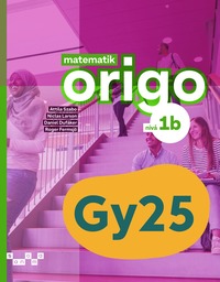 bokomslag Matematik Origo nivå 1b