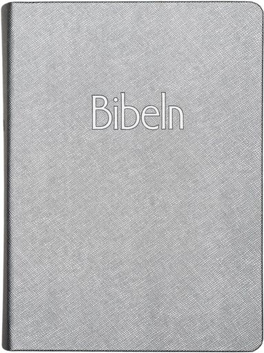 Bibel 2026 silver, Häftad