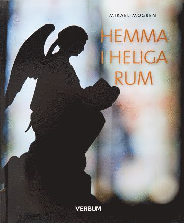 bokomslag Hemma i heliga rum