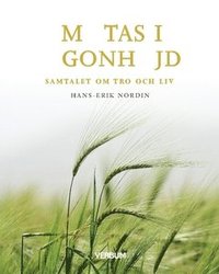 bokomslag Mötas i ögonhöjd : samtalet om tro och liv