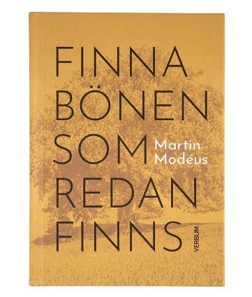 Martin Modéus - Finna bönen som redan finns, Kartonnage