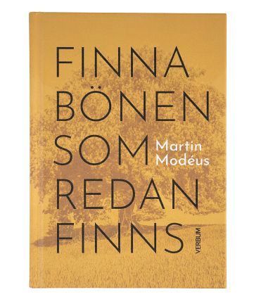 bokomslag Finna bönen som redan finns